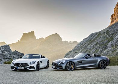 Mercedes-Benz AMG GT Roadster