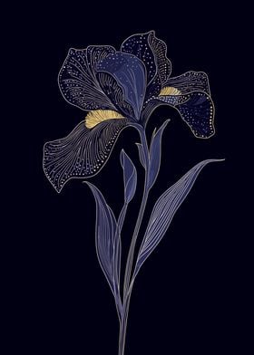 Blue Iris Flower