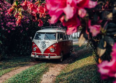 Vintage Bus in Bloom