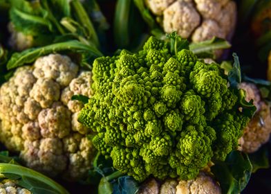 Romanesco Broccoli and Cauliflower