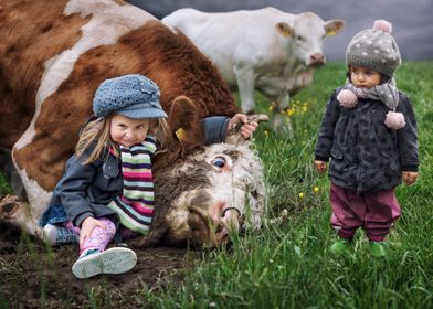 Kids and Cows in a Field