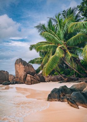 Tropical Beach Paradise in Seychelles