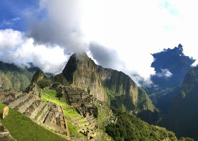 Machu Picchu Panorama