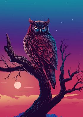 Owl in the night