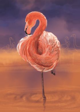 Pink Flamingo Sunset