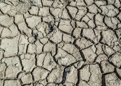 Cracked Earth Texture in Camargue