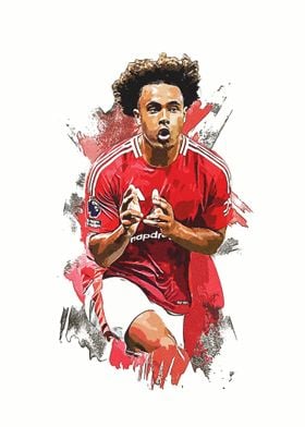 Joshua Zirkzee Manchester