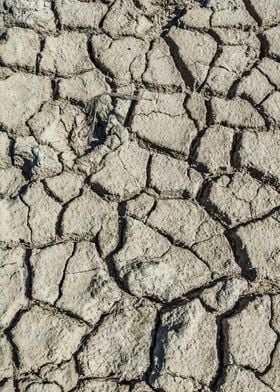 Cracked Earth Texture in Camargue