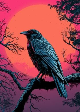 Raven on sunset