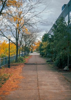 Autumn Sidewalk