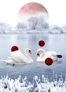 Swan lake