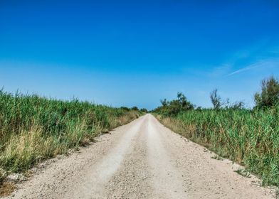 Country Road Under Blue Sky in Camargue France