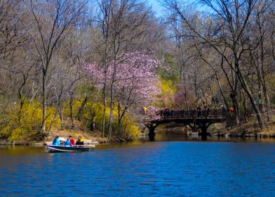 Spring Day at the Central Park Lake, NYC