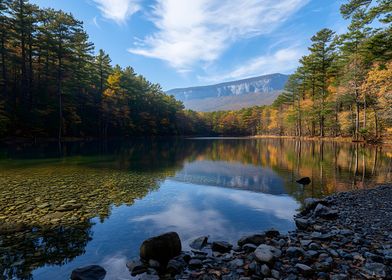 Forest Autumn Lake