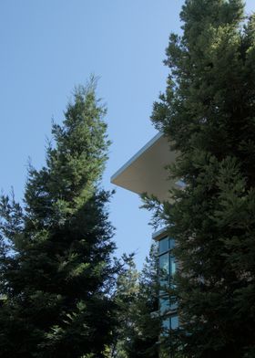 Modern Building with Forest all around