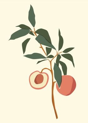 Peach Branch Illustration