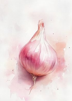 Watercolor Red Onion