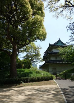 Japanese Garden Gate