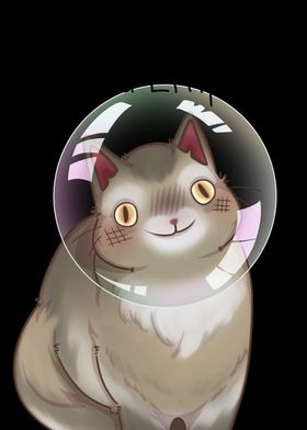 Blissful Cat in a Bubble 'No Thoughts Head Empty'