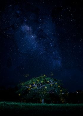 Milky Way Night Sky Fairy Tree