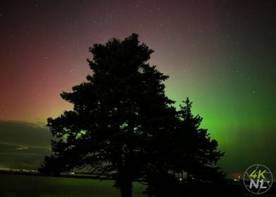 Northern Lights On the Beach