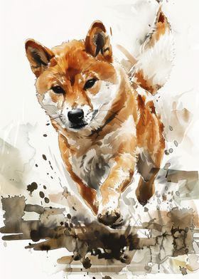 Running Shiba Inu Watercolor