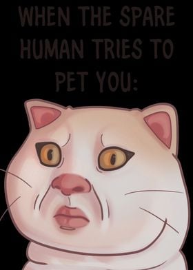 Grumpy Cat Spare Human Meme