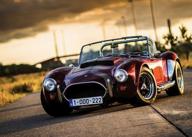 shelby cobra