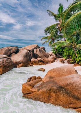 Tropical Beach with Palm Trees at Seychelles