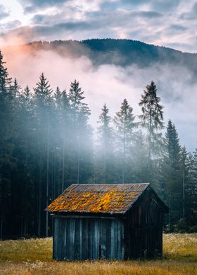 Cabin in the Mist