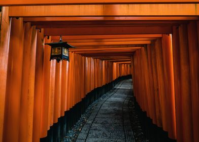 Red Torii Gate Tunnel