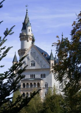 Neuschwanstein Castle Through the Trees