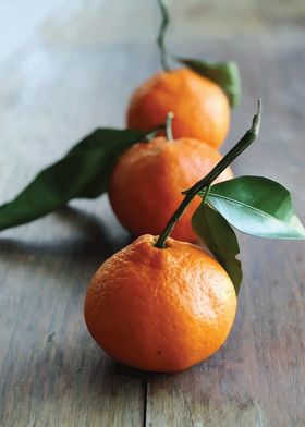 Three Oranges on Wood