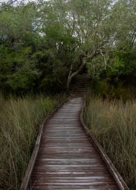 Boardwalk