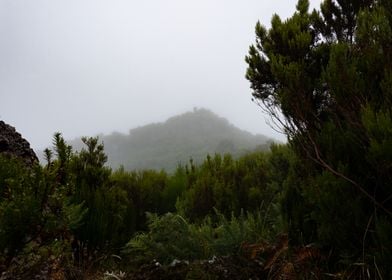 Madeira Misty Mountain Landscape