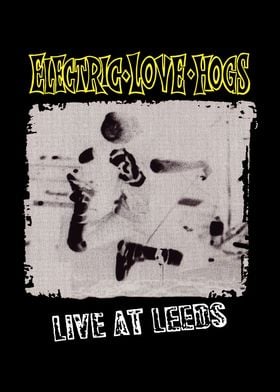 Electric Love Hogs Live at Leeds