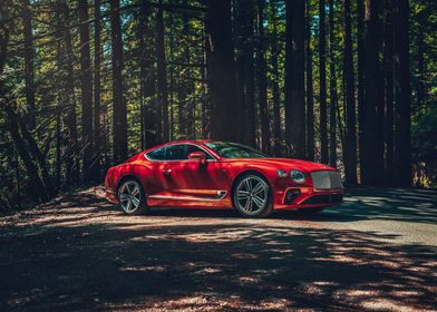 Red Bentley in Forest