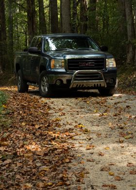 GMC Pickup Truck in Forest