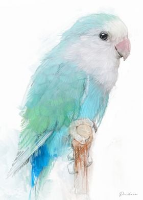 Blue Lovebird Watercolor