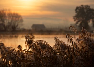 Sunrise Over Water