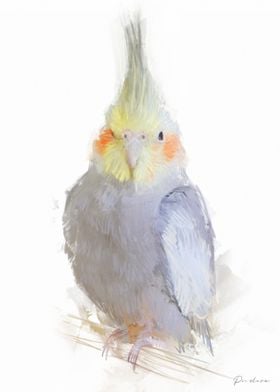 Cockatiel Portrait