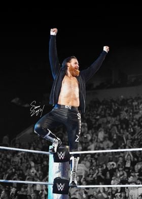 Sami Zayn