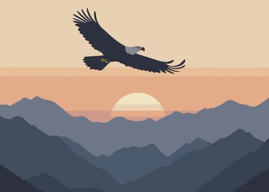 Bald Eagle Soaring Sunset