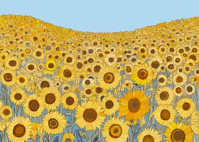 Sunflowers Blooming Field