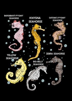 Seahorses Lover Gift Aquarist Marine Biology Seahorse