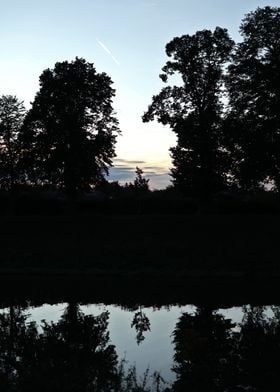 Silhouetted Trees at Sunset