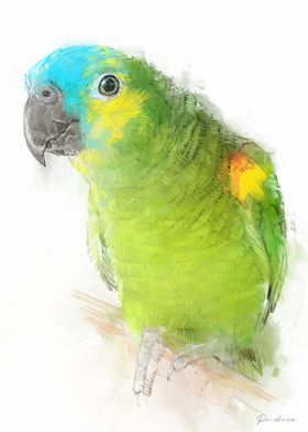 Amazon Parrot Watercolor