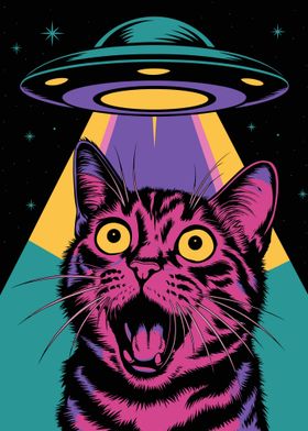 Surprised cat Ufo