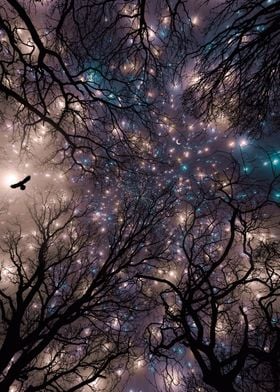 Silhouetted Trees and Stars with owl