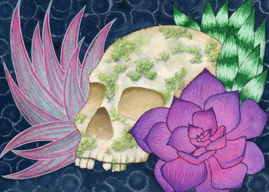 Succulents and Skull 